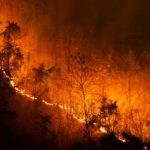 Cómo prevenir incendios forestales: acciones y planificación