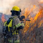 Impacto ambiental de los incendios forestales: su relación con el cambio climático