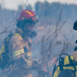 Impacto ambiental de los incendios forestales: su relación con el cambio climático